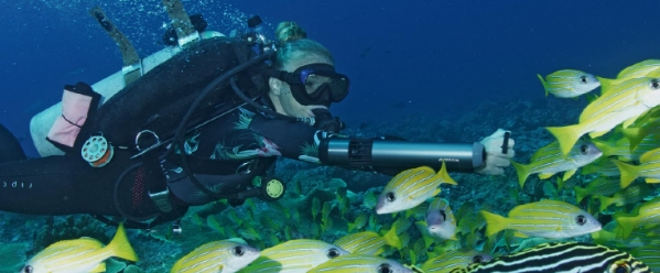 Scuba diver swimming through a school of fish.