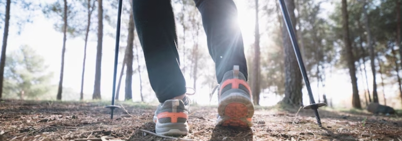 Man walking through a forest